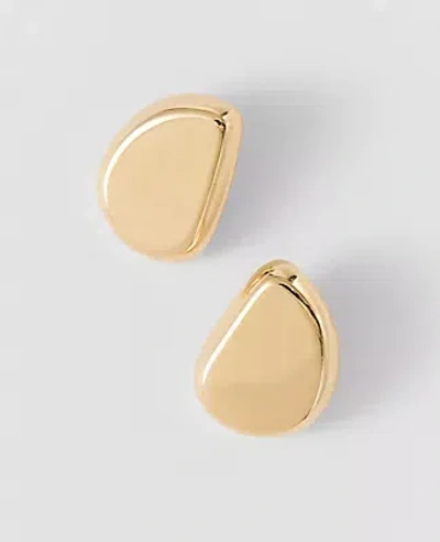 Ann Taylor Metal Stud Earrings In Gold