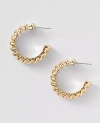 Ann Taylor Metal Textured Hoop Earrings In Gold