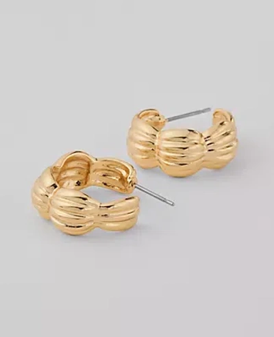 Ann Taylor Mini Bubble Hoop Earrings