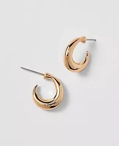 Ann Taylor Mini Hoop Earrings In Gold
