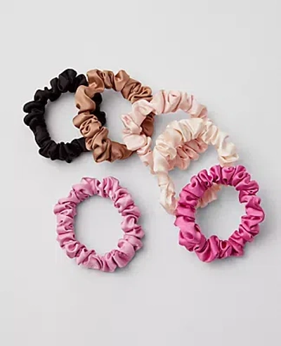 Ann Taylor Mini Scrunchie Set In Enchanted Pink