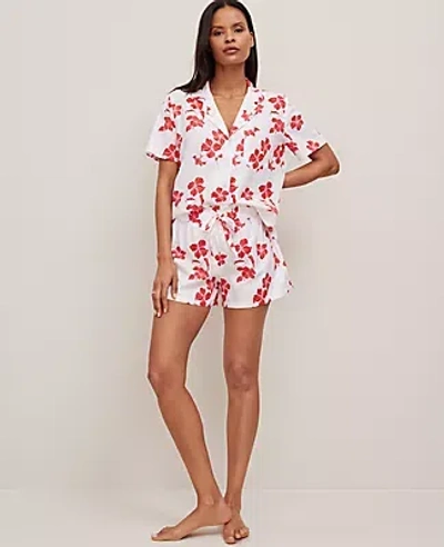 Ann Taylor Modern Pajama Set