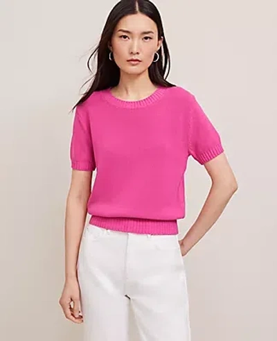 Ann Taylor Modern Sweater Tee