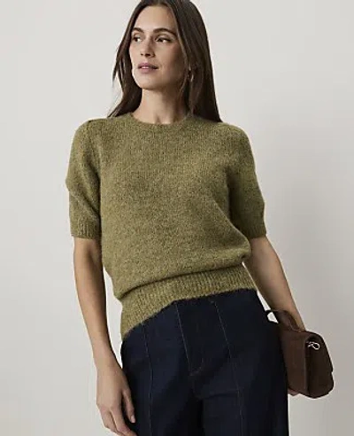 Ann Taylor Modern Sweater Tee In Green