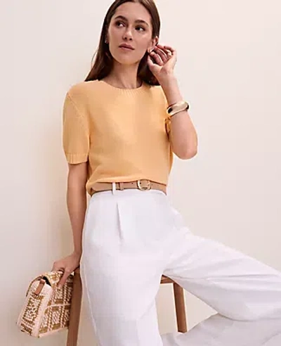 Ann Taylor Modern Sweater Tee In Orange