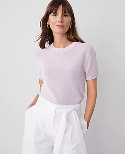 Ann Taylor Modern Sweater Tee In Pale Lilac