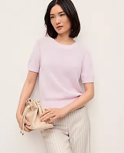 Ann Taylor Modern Sweater Tee In Pink