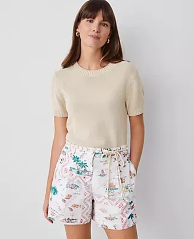 Ann Taylor Modern Sweater Tee In Sands Edge