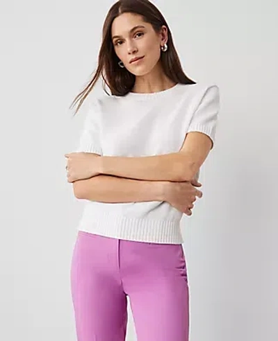 Ann Taylor Modern Sweater Tee In White