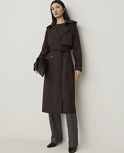Ann Taylor Modern Trench Coat In French Mocha