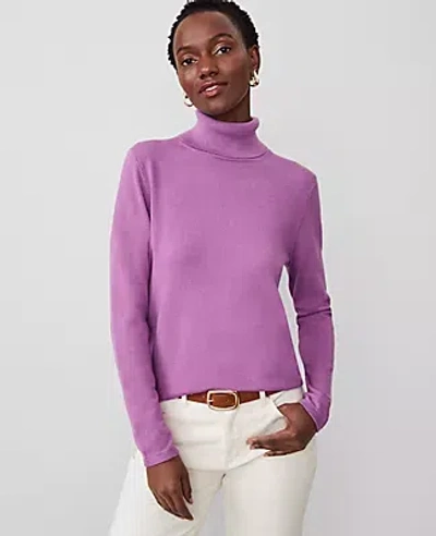 Ann Taylor Modern Turtleneck Sweater In Purple Monarch