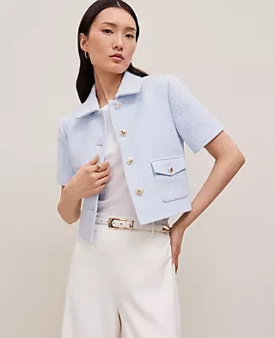 Ann Taylor Modern Tweed Jacket In Zephyr Blue