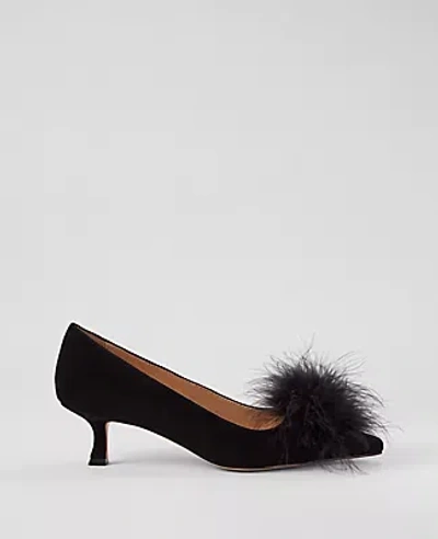 Ann Taylor Nip-toe Kitten-heel Suede Feather Pump In Black