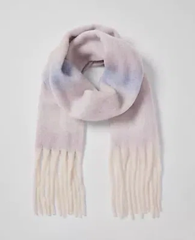 Ann Taylor Ombre Fuzzy Scarf In Autumn Rose