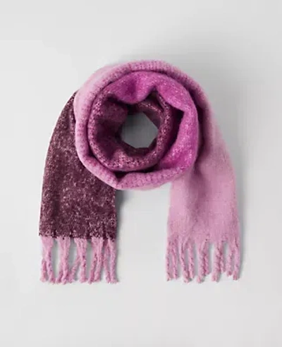 Ann Taylor Ombré Fuzzy Scarf In Purple Monarch