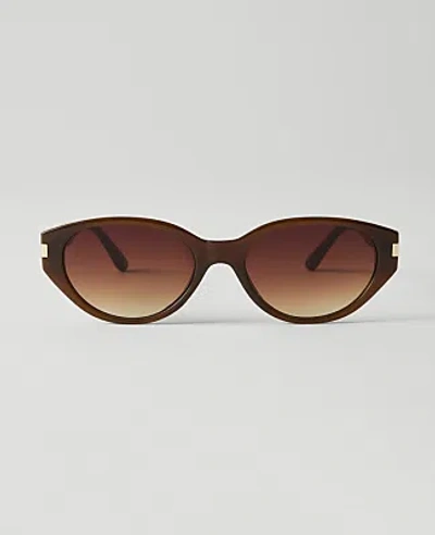 Ann Taylor Oval Sunglasses In Brown Butter