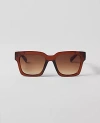 Ann Taylor Oversized Curved Square Sunglasses In Pecan Brown