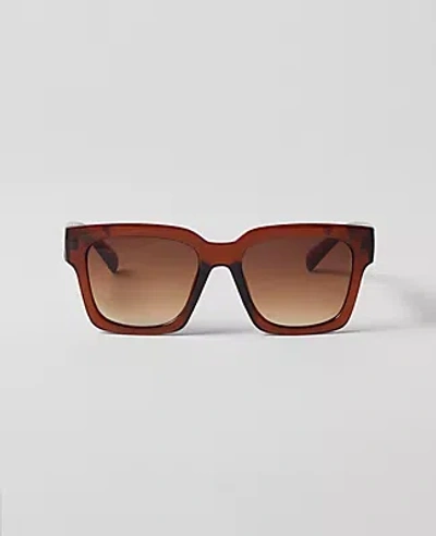 Ann Taylor Oversized Curved Square Sunglasses In Pecan Brown