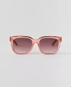 Ann Taylor Oversized Square Sunglasses In Rose
