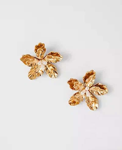 Ann Taylor Pearl Flower Statement Stud Earrings In Gold