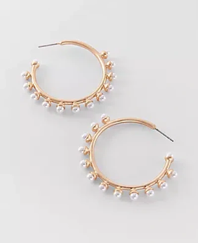 Ann Taylor Pearl Hoop Earrings In Gold