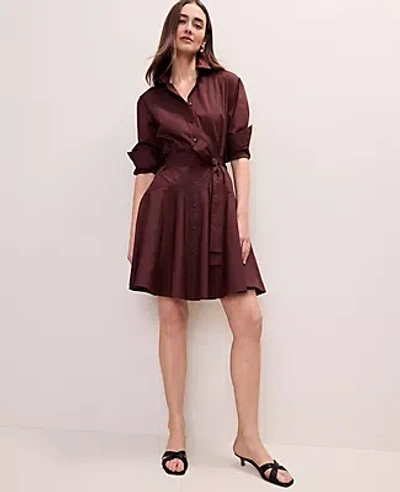 Ann Taylor Petite Belted Collared Shirtdress In Brown