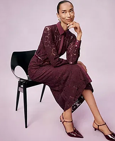 Ann Taylor Petite Belted Lace Midi Shirtdress In Purple