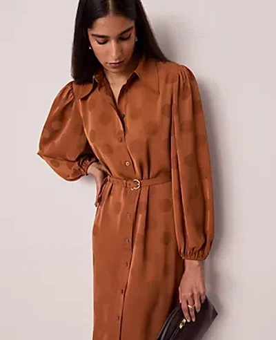 Ann Taylor Petite Belted Midi Shirtdress In Brown