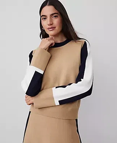 Ann Taylor Petite Colorblock Crew Neck Sweater In Camel Multi