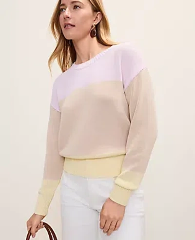 Ann Taylor Petite Colorblock Crew Neck Sweater In Multi