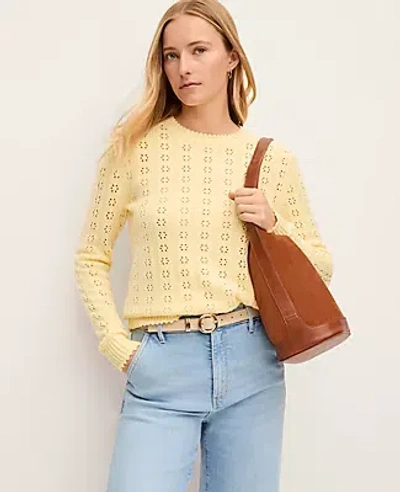 Ann Taylor Petite Cozy Pointelle Sweater In Yellow