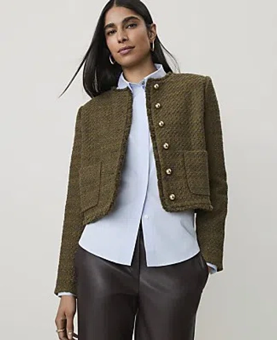 Ann Taylor Petite Cropped Crew Neck Jacket In Olive Sprig