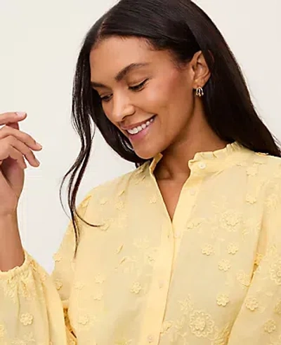 Ann Taylor Petite Embroidered Ruffle Collar Shirt In Yellow
