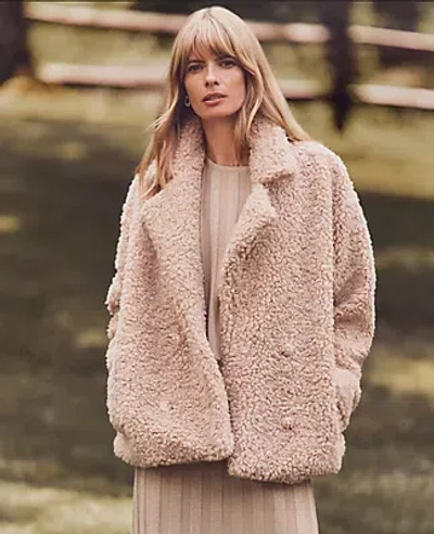 Ann Taylor Petite Faux Fur Double-breasted Coat In Toasted Oat