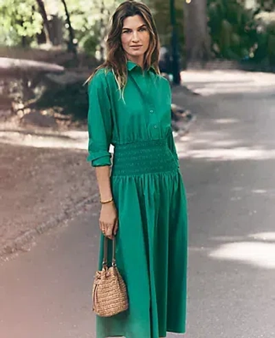 Ann Taylor Petite Flare Midi Shirtdress In Shady Glade
