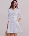 Ann Taylor Petite Flare Pocket Shirtdress