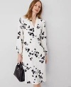 Ann Taylor Petite Floral Shawl Collar Flare Dress In Winter White- Black