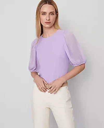 Ann Taylor Petite Mixed Media Pleated Sleeve Top In Purple