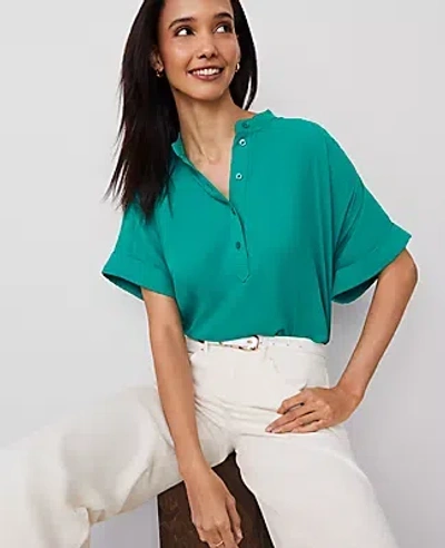 Ann Taylor Petite Mock Neck Popover Top In Shady Glade