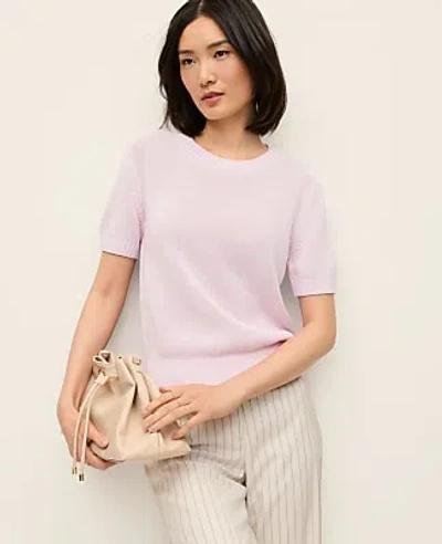 Ann Taylor Petite Modern Sweater Tee In Purple
