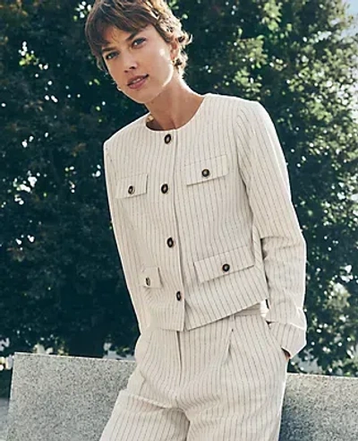Ann Taylor Petite Pinstripe Crew Neck Jacket In Dusty Ivory Melange