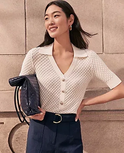 Ann Taylor Petite Pointelle Polo Sweater