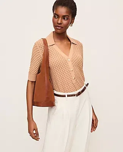Ann Taylor Petite Pointelle Polo Sweater In Brown