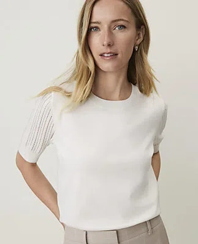 Ann Taylor Petite Pointelle Sleeve Sweater Tee In Winter White