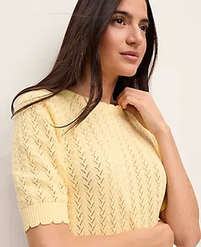 Ann Taylor Petite Pointelle Sweater Tee In Yellow