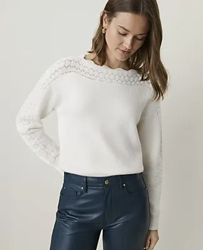 Ann Taylor Petite Pointelle Trim Sweater In Winter White
