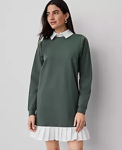 Ann Taylor Petite Ponte Sweatshirt Mini Dress In Dried Cilantro