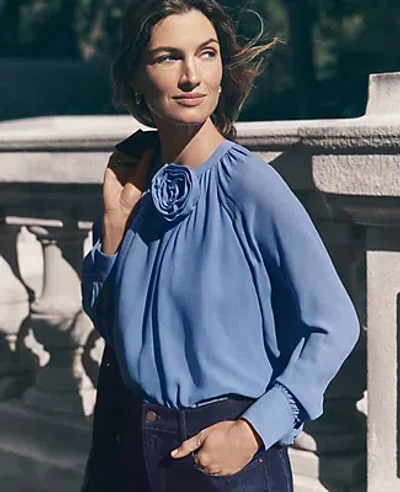 Ann Taylor Petite Rosette Raglan Top In Colony Blue