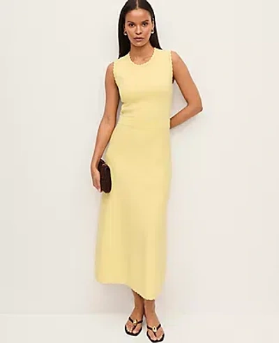Ann Taylor Petite Scalloped Midi Sweater Dress In Yellow