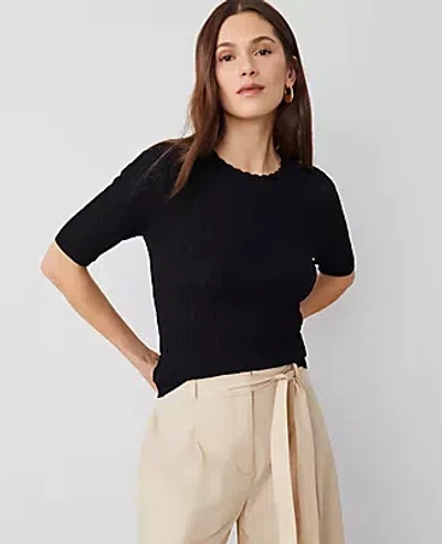 Ann Taylor Petite Scalloped Pointelle Sweater In Black